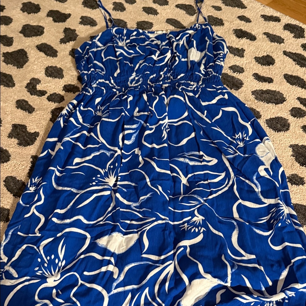 Z Supply Blue Dress